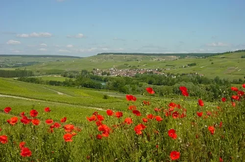 de Chatillonnais