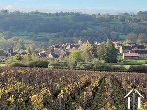 Dorpshuis met uitzicht op de wijngaarden van de Couchois Ref # PM5371D 